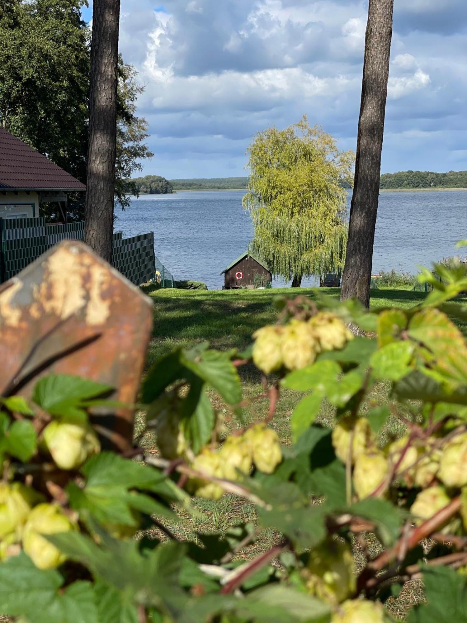 Urlaub Am Plaetlinsee - Haus Odin Wustrow  المظهر الخارجي الصورة