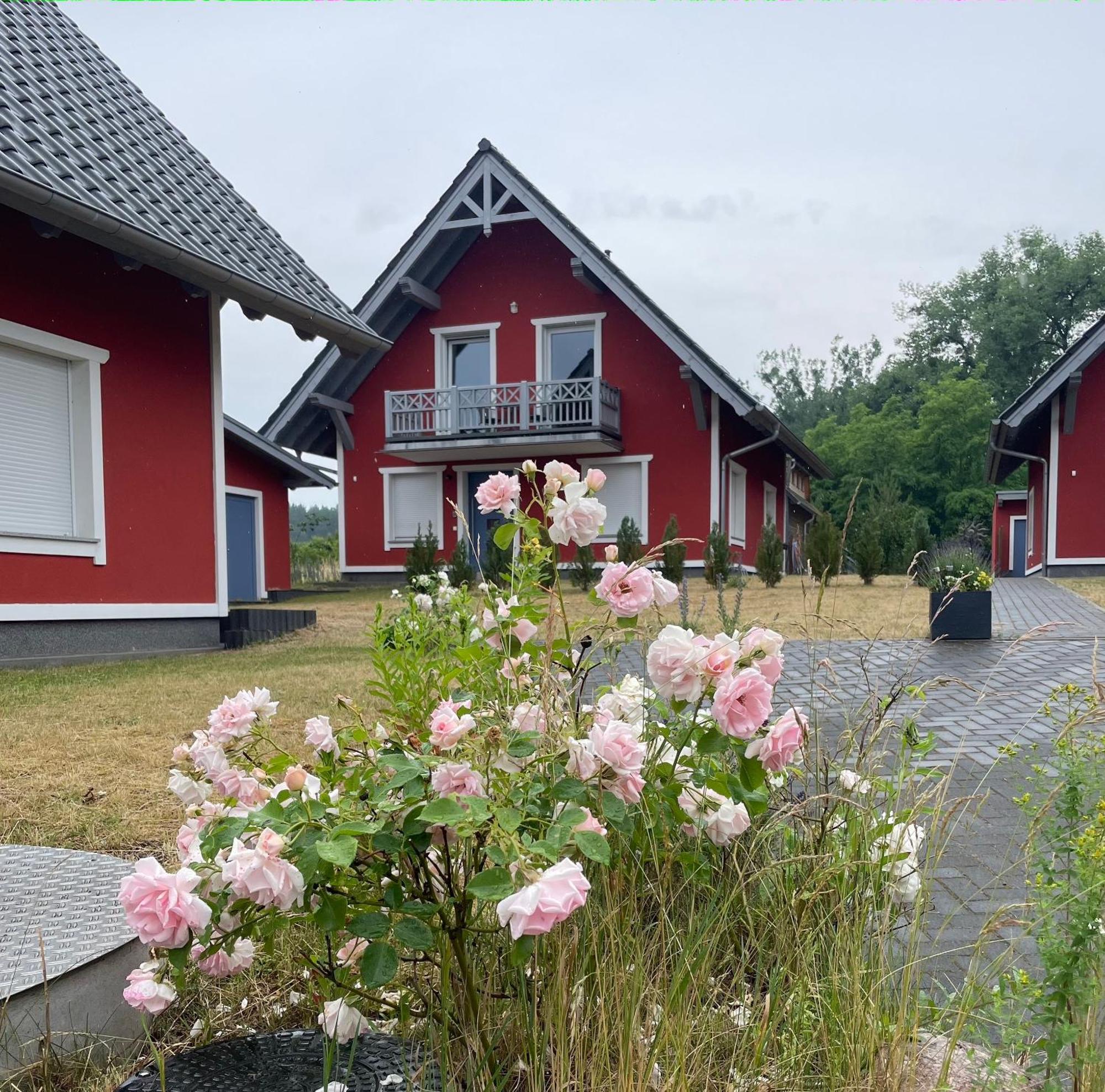 Urlaub Am Plaetlinsee - Haus Odin Wustrow  المظهر الخارجي الصورة